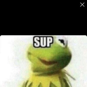 Meet your Posher, Zach